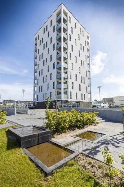 Svanehusene – billede 2